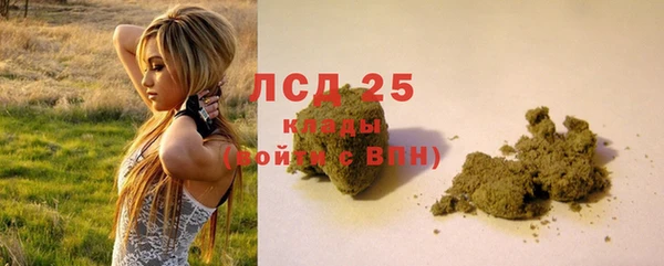 ГАЛЛЮЦИНОГЕННЫЕ ГРИБЫ Арсеньев
