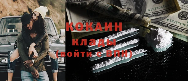 дмт Алзамай